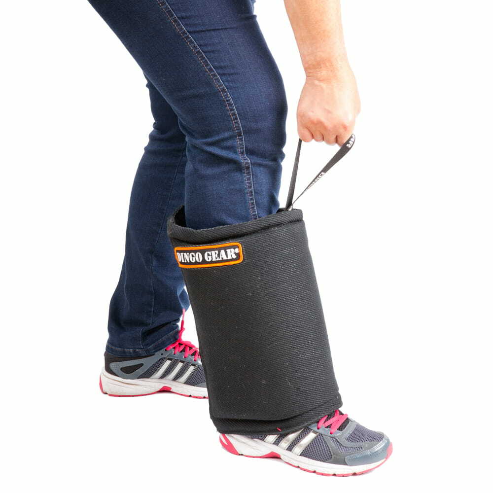 Jambierre cachorro Dingo Gear