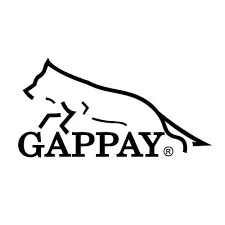 logo gappay logo gappay