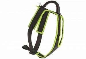 Arnes para protección con cachorro Gappay