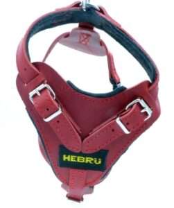 Arnes cuero rojo para perro hebrue