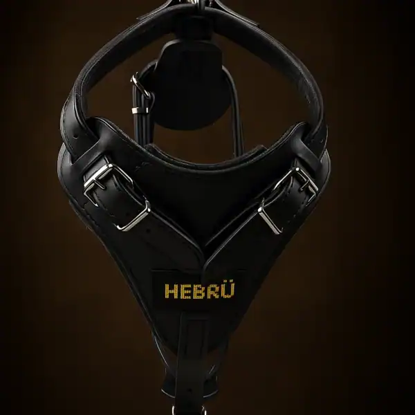 arnés para perro de cuero negro con pechera