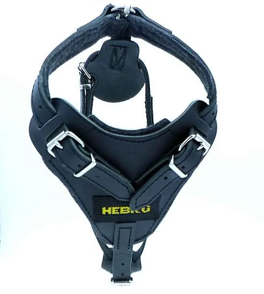 arnes de cuero para perro HEBRUE
