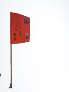 Bandera rastro WDS