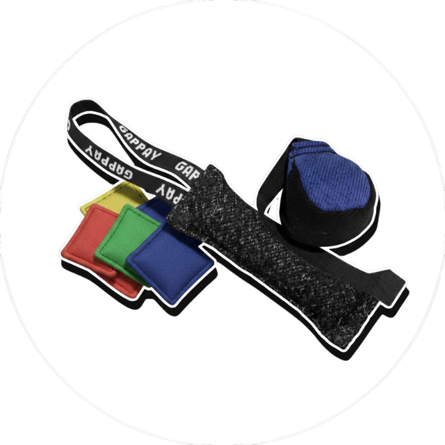 Perro cogiendo su motivador en el aire, una pelota de cuero.