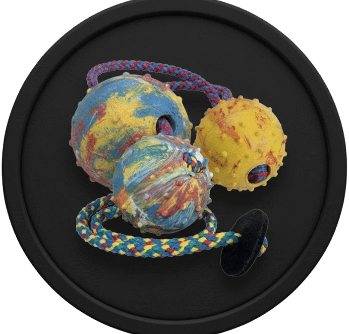 Elige la mejor pelota para jugar con tu perro